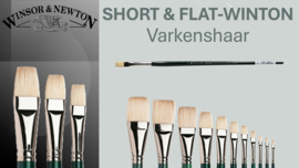 Winton  brush Short &  flat p/st. (prijs vanaf)