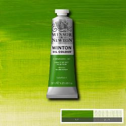 Winton 145 Chrome Green Hue 37 ml