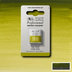 W&N Pro Water Colour ½ nap Olive Green S.1