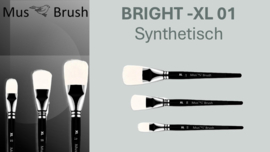 MusBrush Penseelset  XL 01 ~Background brush-p/st. ( prijs vanaf)