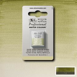W&N Pro Water Colour ½ nap Terre Vert (Yellow Shade ) S.1