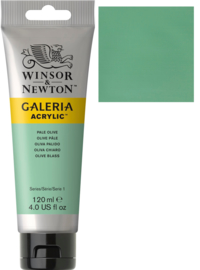 Galeria Acrylic Pale olive 120 ml - no.435