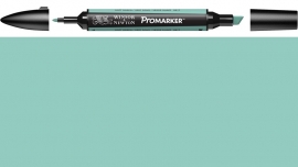 W&N ProMarker G817-Soft green