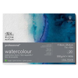 Winsor & Newton Pro- Aquarelpapier 17.8 x 25.4 cm  Rough (grof)