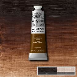 Winton 076 Burnt Umber 37 ml