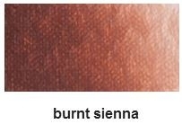 Ara 150 ml -burnt sienna A61