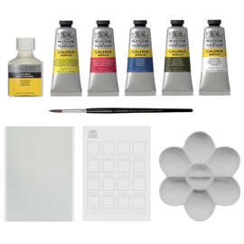 Winsor & Newton Galeria Acrylic luxe gift set