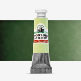 Old Holland Watercolour 6ml tube C304-hookers green lake light extra