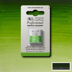 W&N Pro Water Colour ½ nap Permanent Sap Green S1