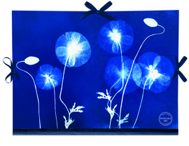Clairfontaine tekenmap met lintjes  28x38 cm Blauw bloemdessin