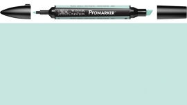 W&N ProMarker G829-Pastel green