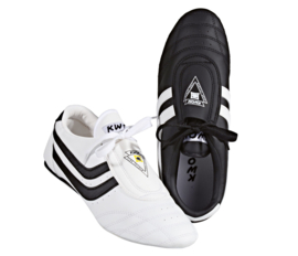 Chosun Martial Arts Schoenen