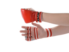 Karate Handbeschermers Competition Rood