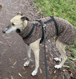 Jumper BRUIN gemêleerd