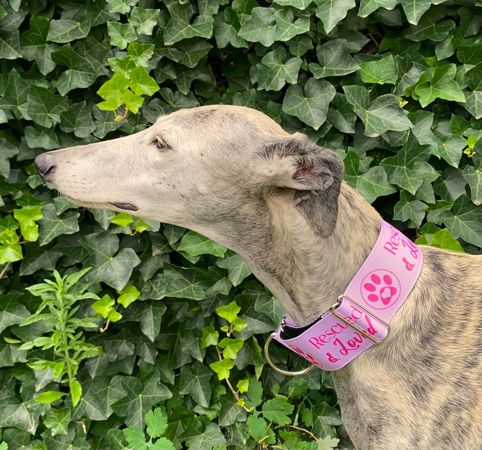 Halfslip Martingales - Rescued & Loved roze