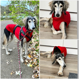 Zomershirtje effen rood  