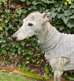 Jumper GRIJS gemêleerd