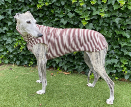Zomerjumper streepjes bruin-beige