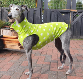 Zomershirtje sterren lime