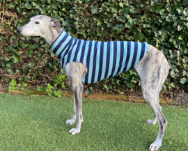 Katoenen shirtje brede streep blauw-mint