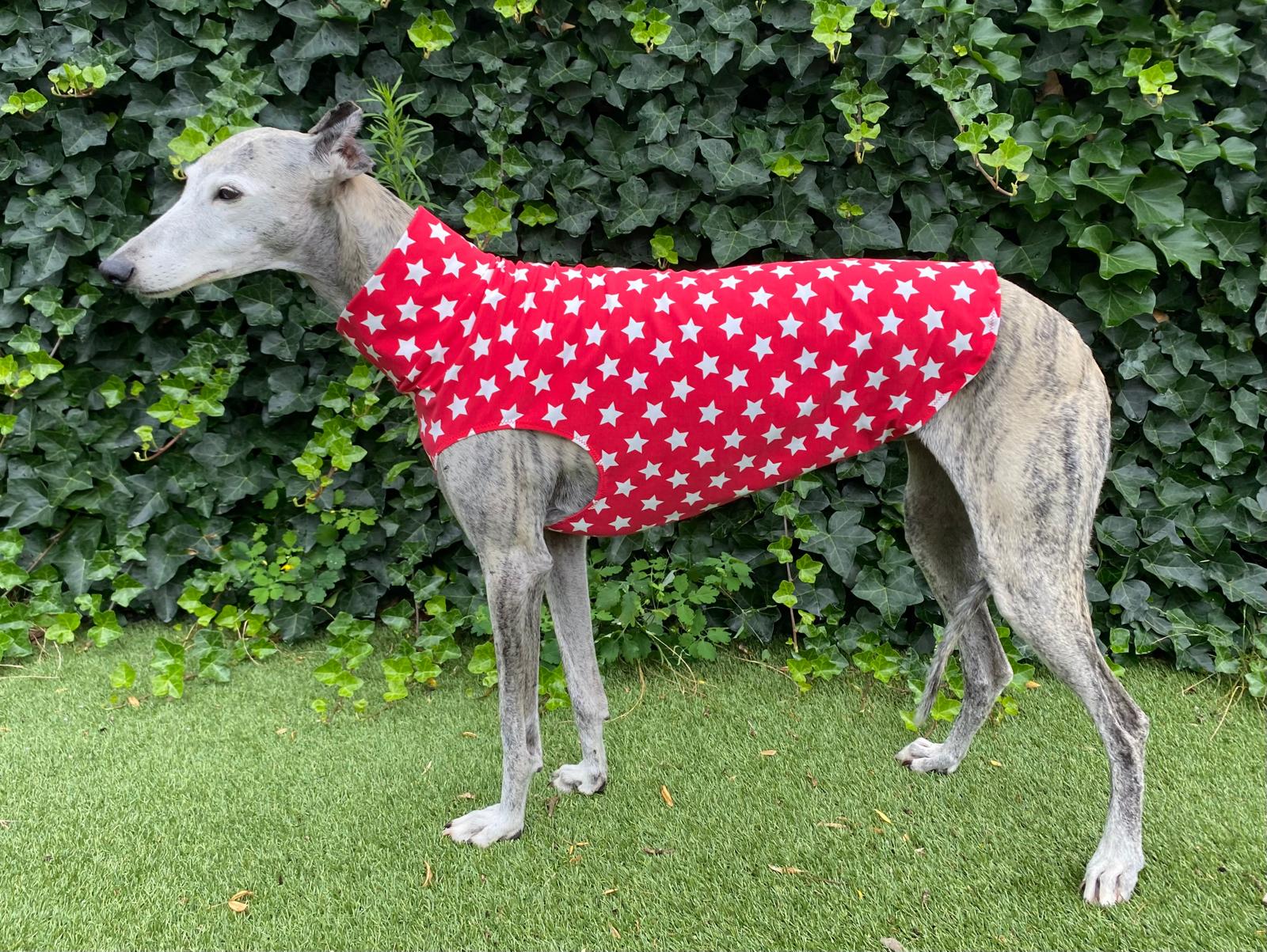 Katoenen shirtje sterren rood
