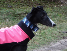 Halfslip Martingales  - Free the galgo