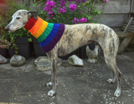 Wijd uitlopende lange kol - regenboog