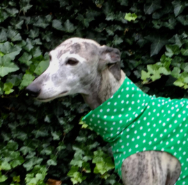 Zomershirtje groen met sterren