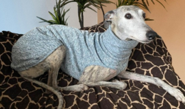 Jumper LICHTBLAUW gemêleerd