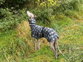 Softshell (regen)jassen STERREN GROEN