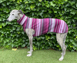 Zomerjumper streep paars-roze