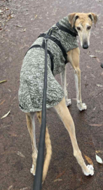 Jumper LEGERGROEN gemêleerd