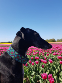 Halfslip Martingales  - ruiten blauw