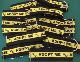 Halfslip Martingales "ADOPT ME"