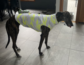 UITVERKOCHT Licht zomershirtje met GEEL
