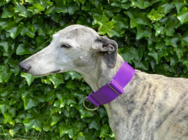 Halfslip Martingales  - effen paars