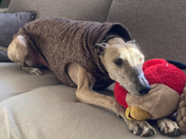 Jumper BRUIN gemêleerd