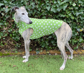 Katoenen shirtje sterren lime