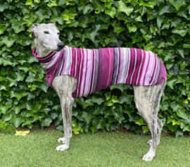 Zomerjumper streep paars-roze
