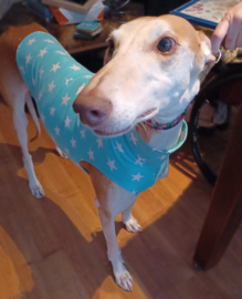 Zomershirtje sterren licht turquoise