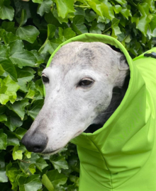 Softshell (regen)jassen LEGERGROEN