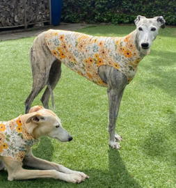 Zomershirtje bloemen GEEL