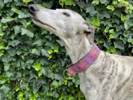 Halfslip Martingales - Sterren fuchsia