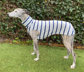 Zomerjumper blauwe streep