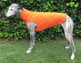 Zomershirtje effen oranje