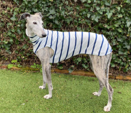 Zomerjumper blauwe streep