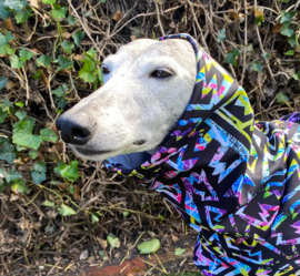 UITVERKOOP Softshell (regen)jassen ZWART MET NEON