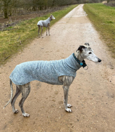 Jumper LICHTBLAUW gemêleerd