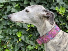 Halfslip Martingales - Sterren fuchsia