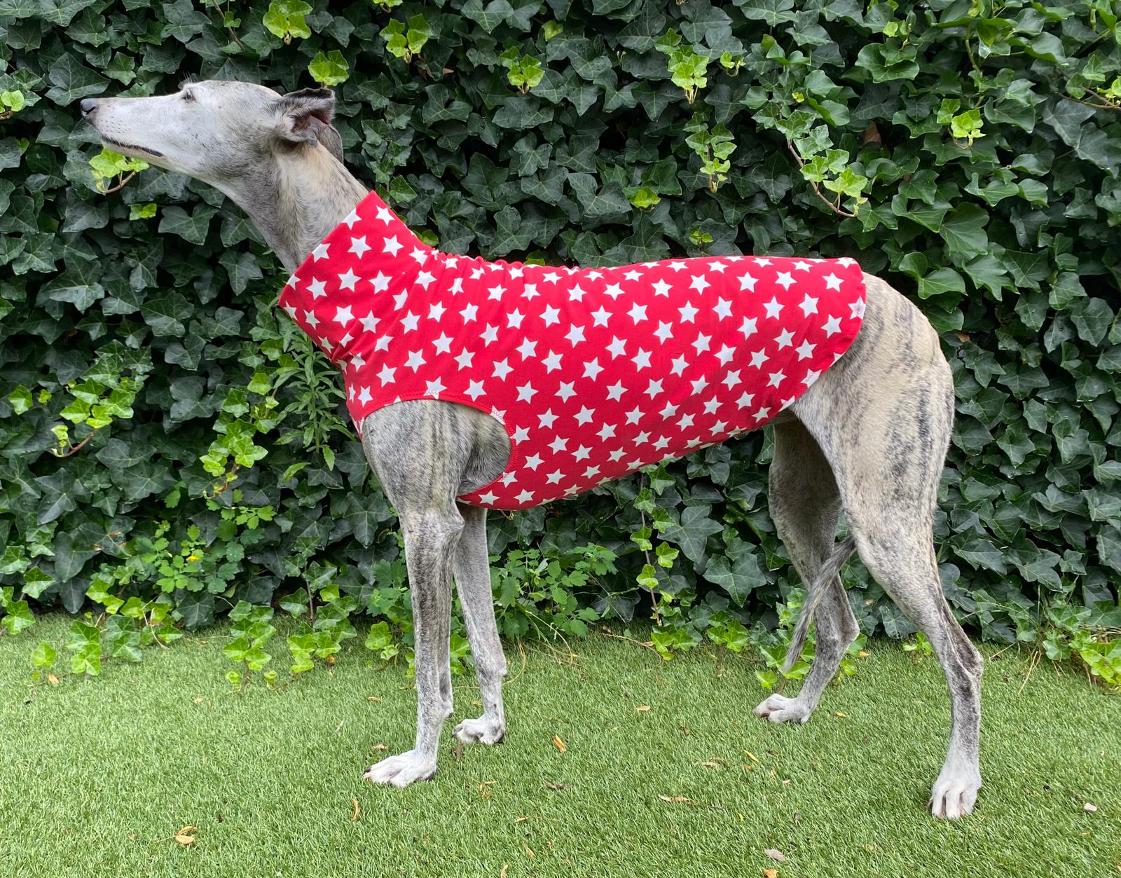 Katoenen shirtje sterren rood